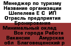 Менеджер по туризму › Название организации ­ Шепелева Е.С, ИП › Отрасль предприятия ­ Бронирование › Минимальный оклад ­ 30 000 - Все города Работа » Вакансии   . Амурская обл.,Благовещенский р-н